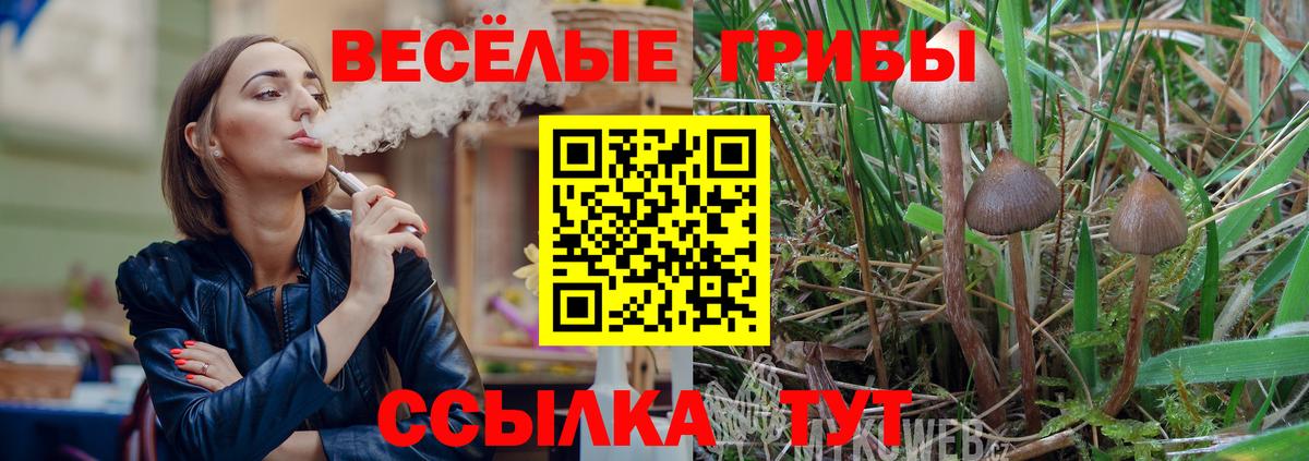 где купить наркотик  Вход с VPN  Ленинск-Кузнецкий  Псилоцибиновые грибы Cubensis 